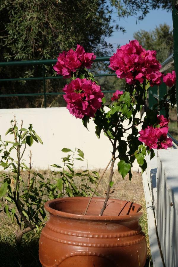 Billias House Vila Vourvourou Exterior foto